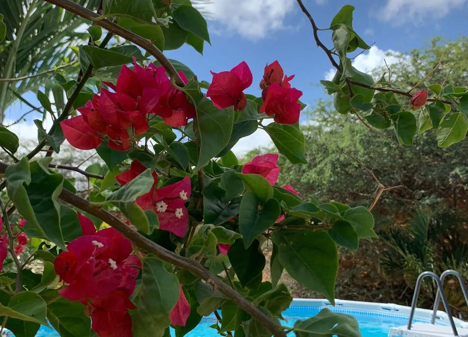 Centrally Located Spacious Apartment Willemstad Curaçao