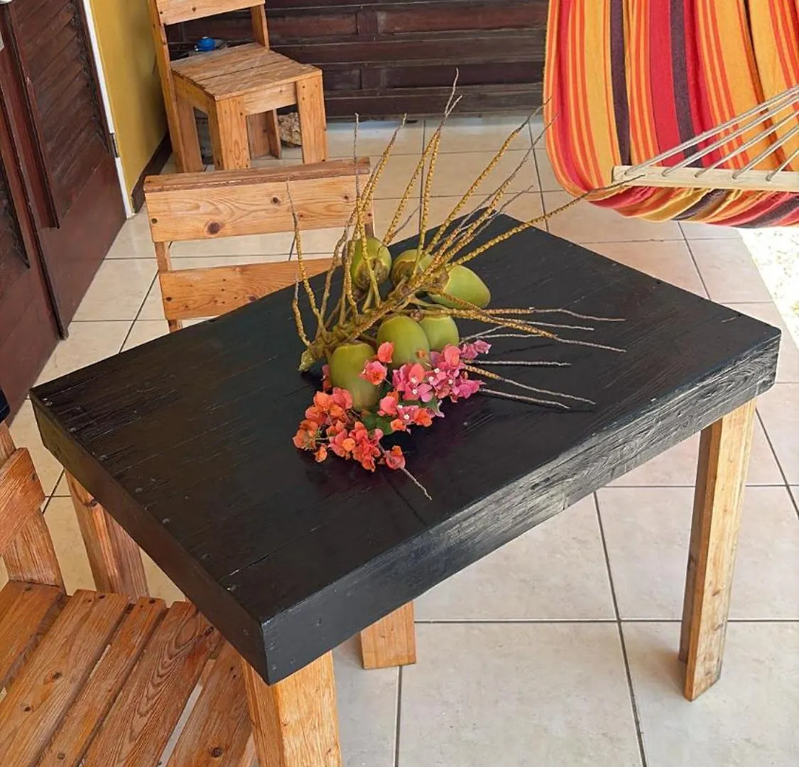 Centrally Located Spacious Apartment Willemstad